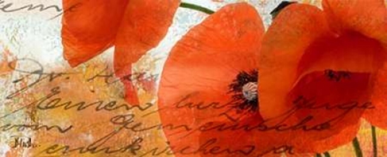 Poppies Composition III Poster Print by Patricia Pinto - Item # VARPDX7092